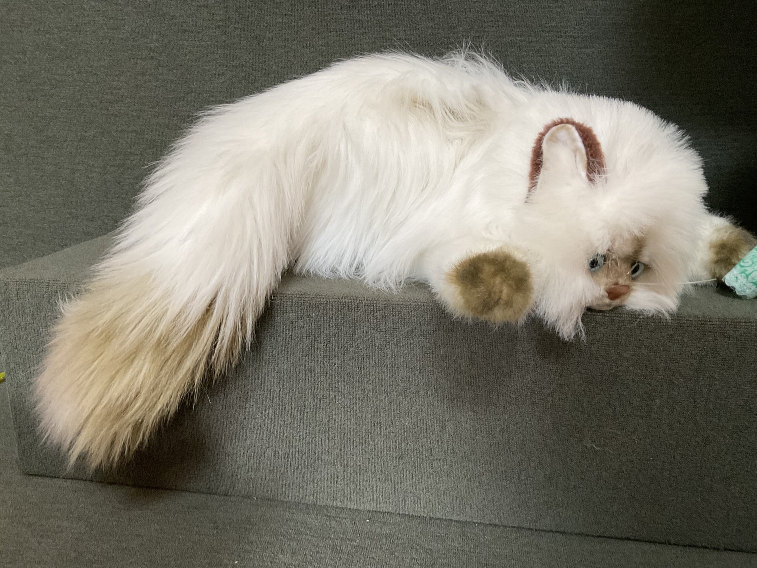 Image for Dolls and Stuffed Animals