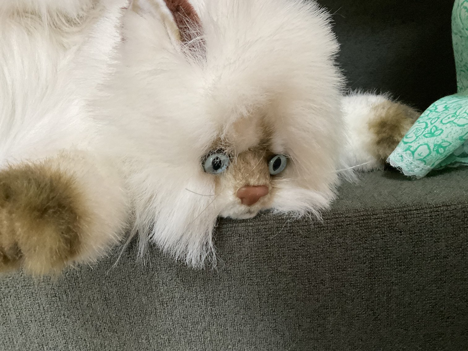 Image for Dolls and Stuffed Animals