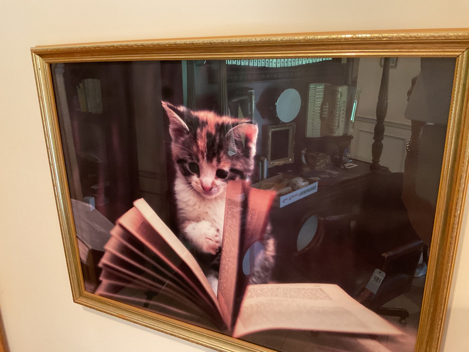 Image for Two Framed Prints