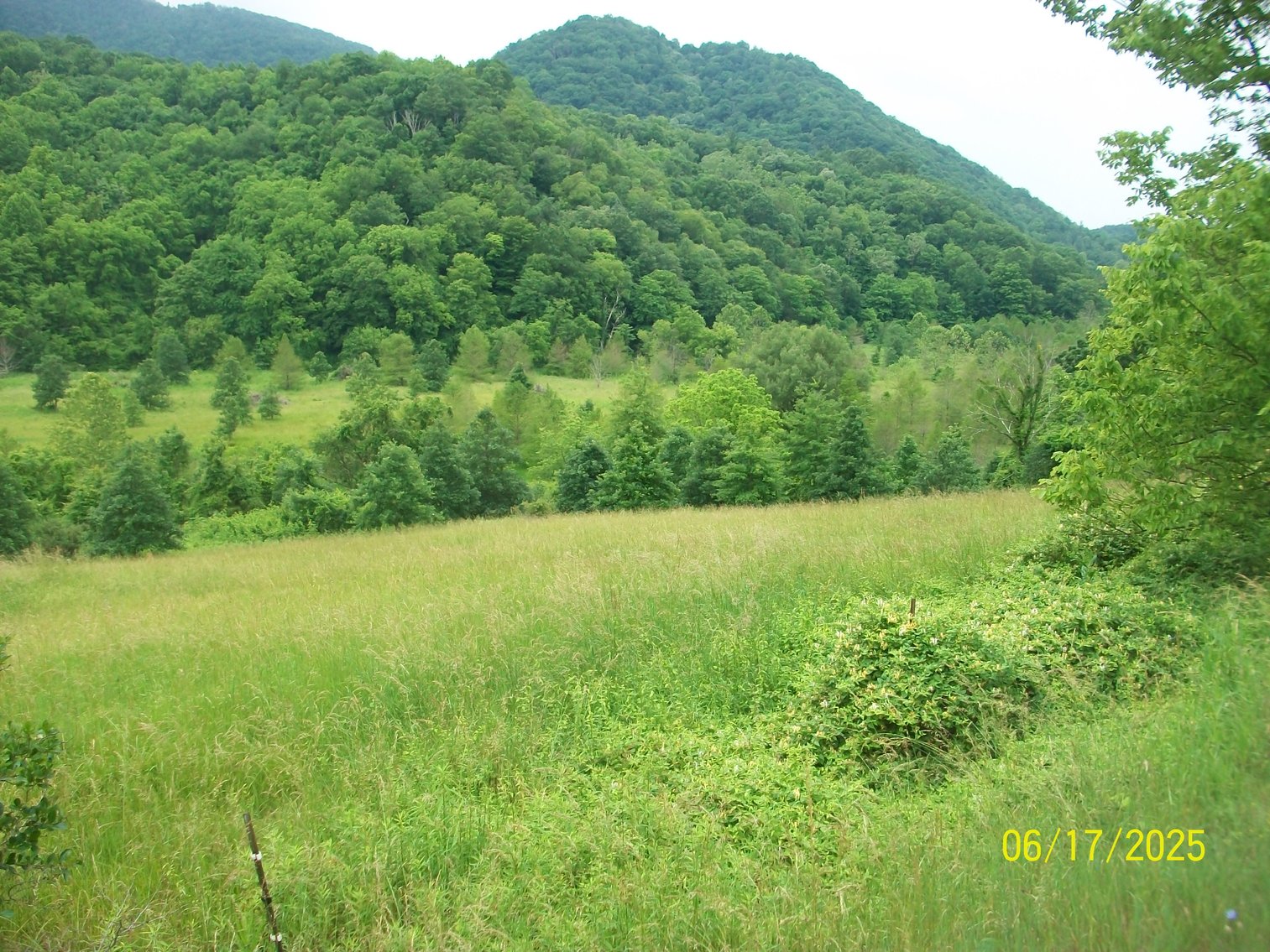 Image for Tract 2 – The tract has 49.1 acres and a barn.