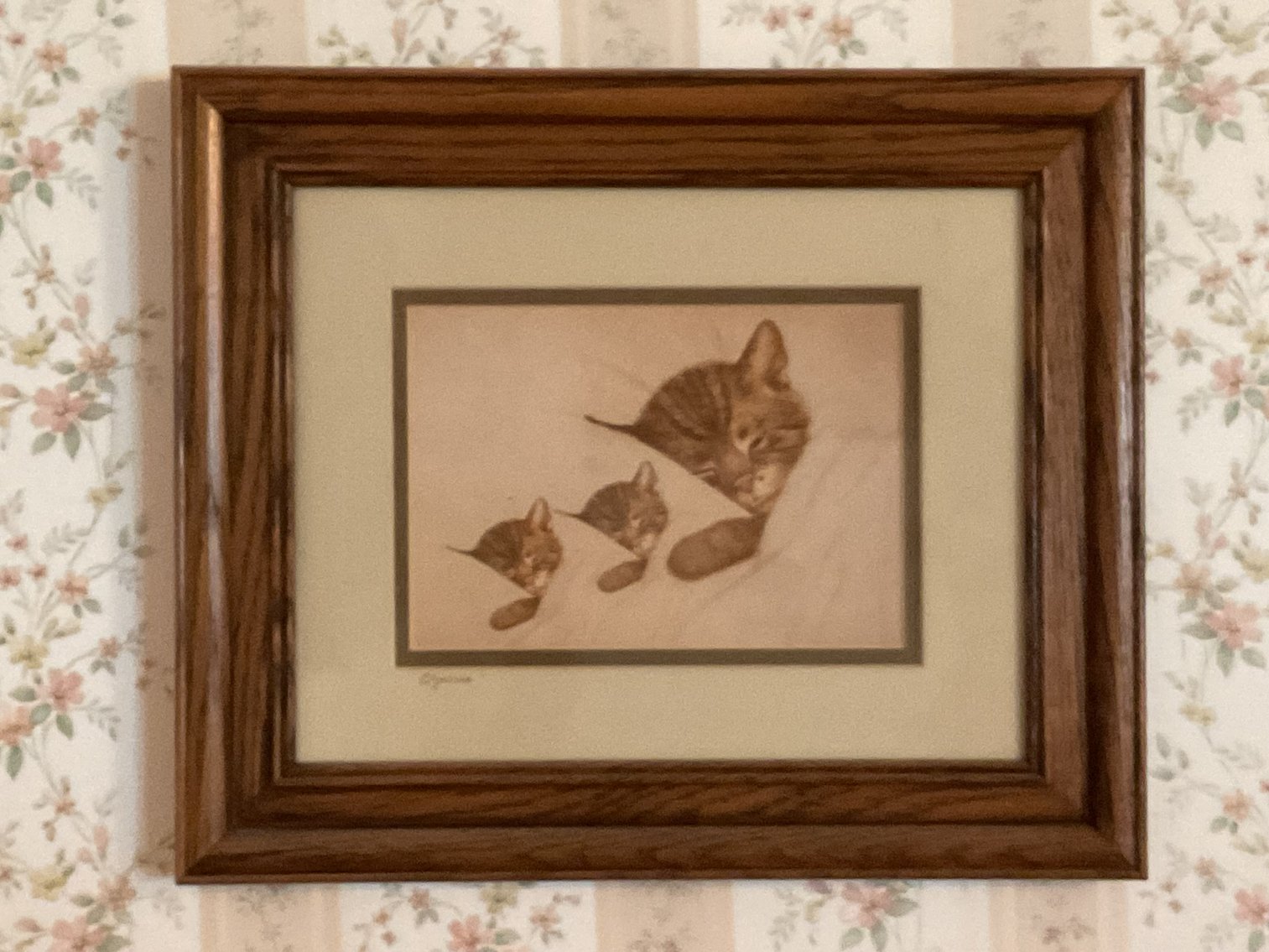 Image for Chesapeake & Ohio RR Ad - Chessie