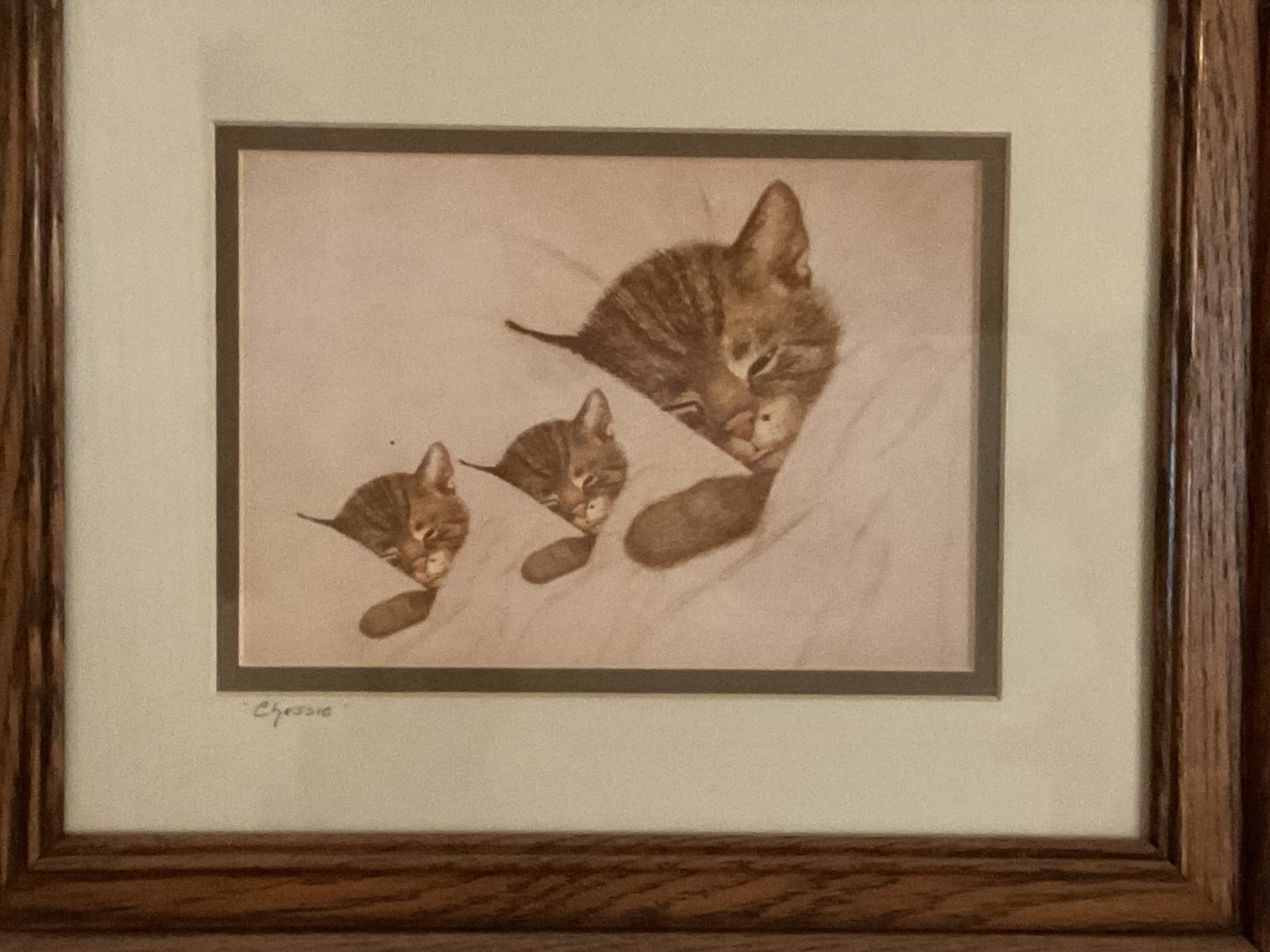 Image for Chesapeake & Ohio RR Ad - Chessie