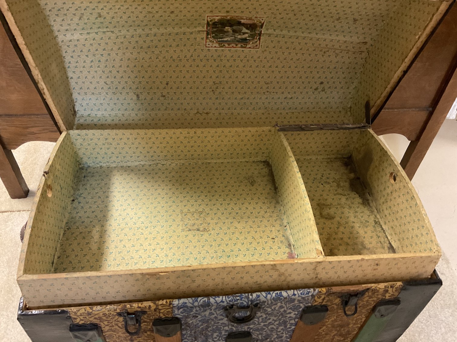 Image for Camel Back Trunk