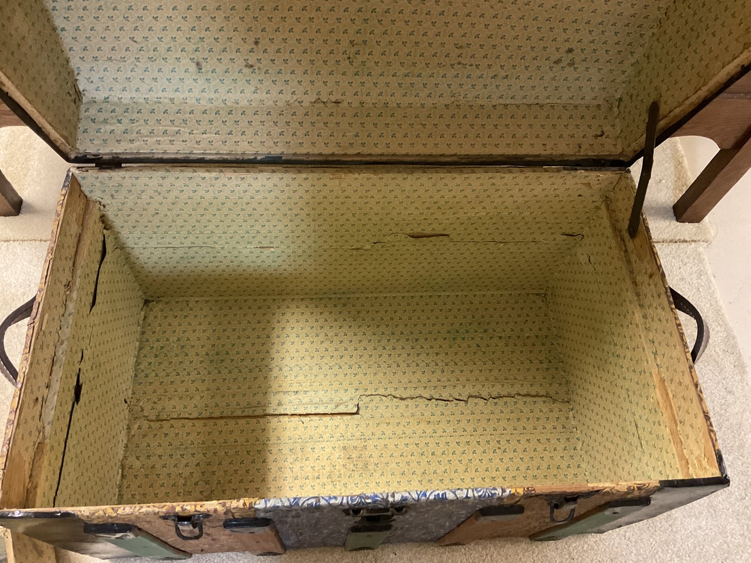 Image for Camel Back Trunk