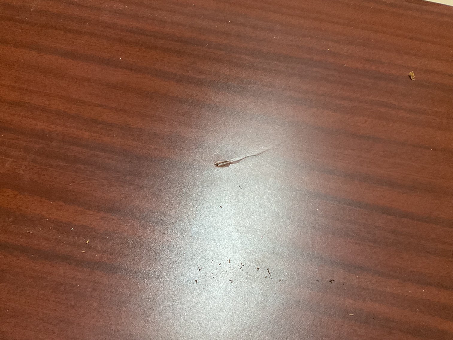 Image for Coffee Table