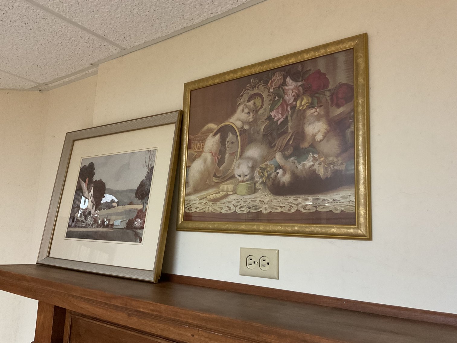 Image for Two Framed Prints