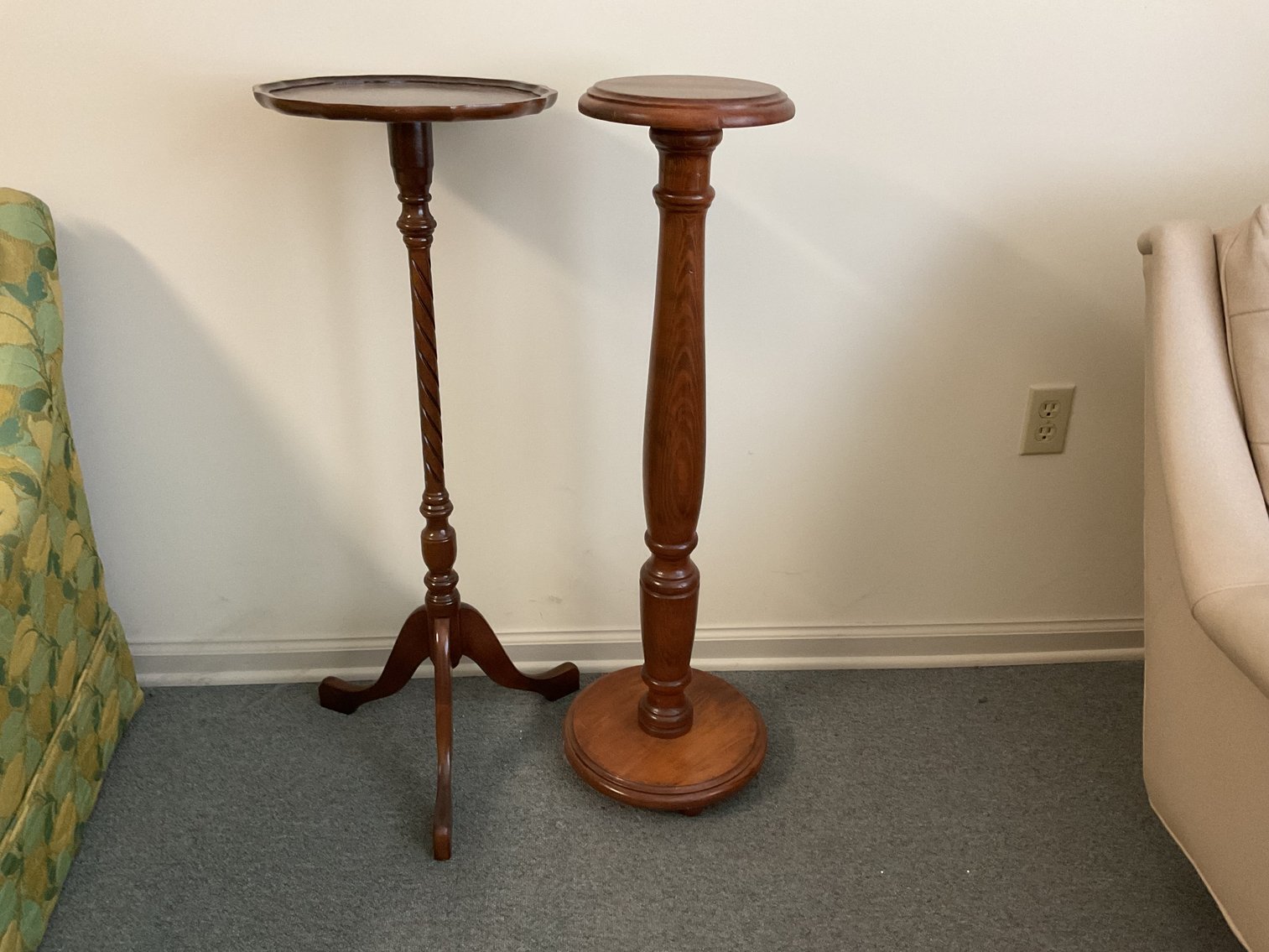 Image for Fern Stands