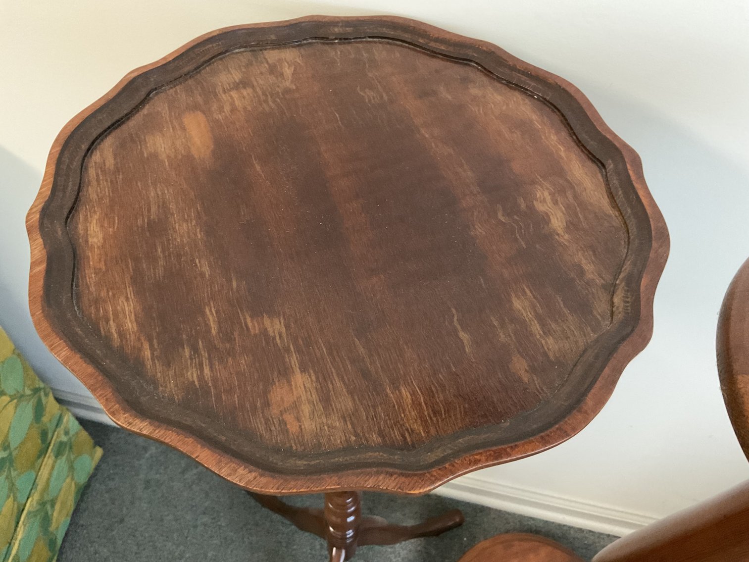 Image for Fern Stands