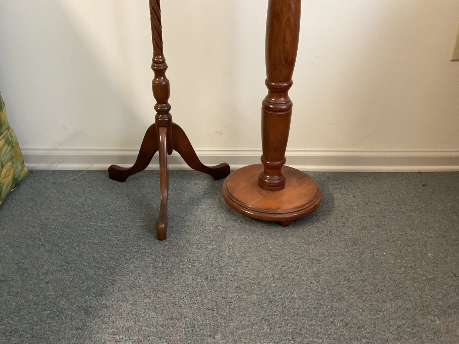 Image for Fern Stands