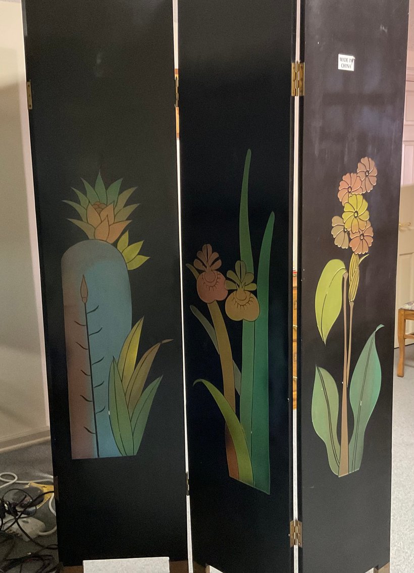 Image for Asian Screen