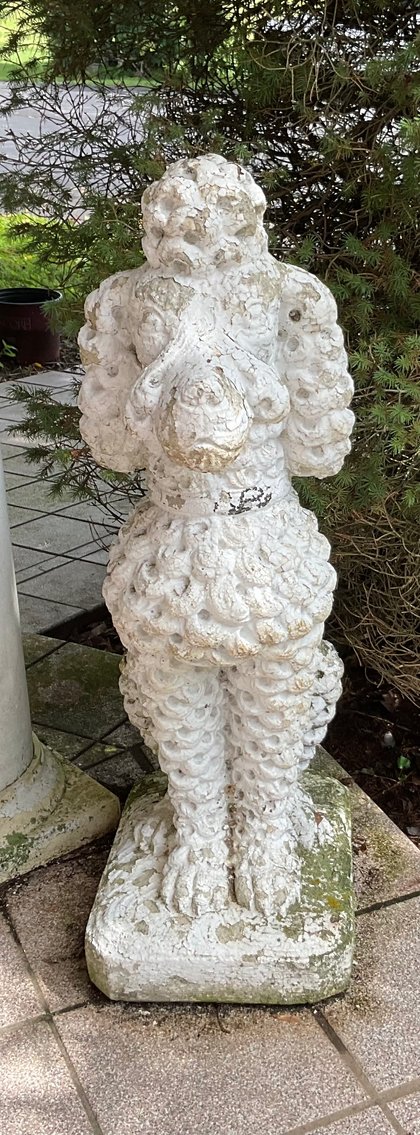 Image for Concrete Poodle Dog