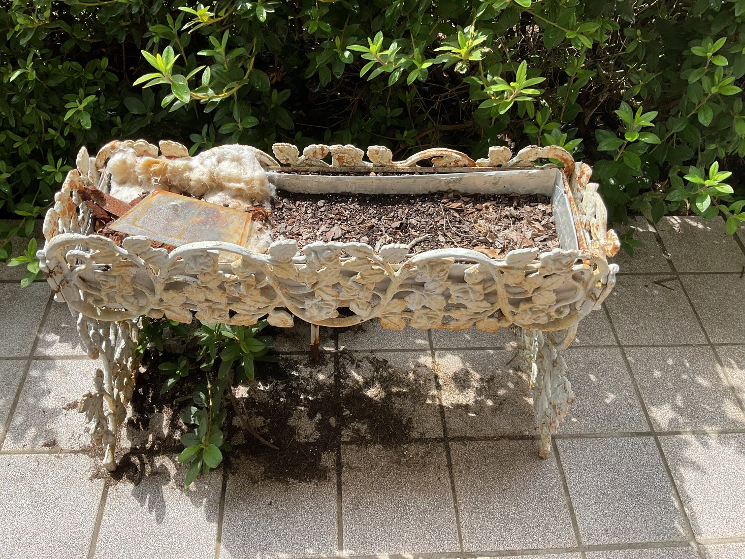 Image for Pair of Heavy Cast Iron Planters