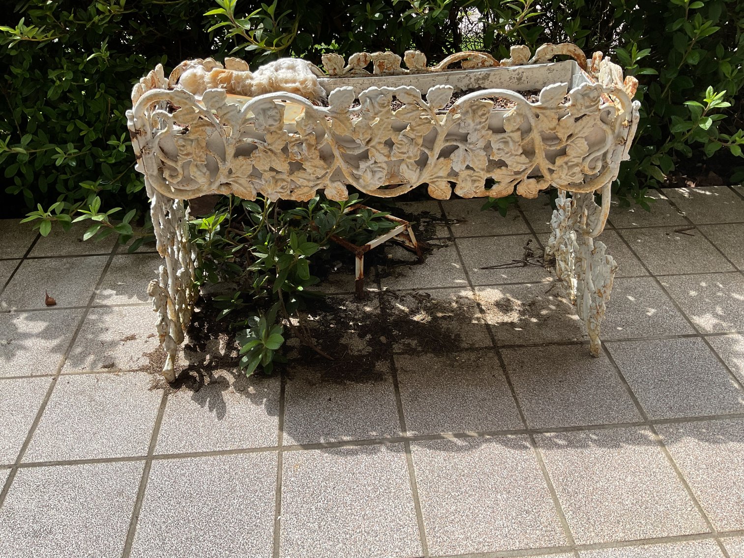 Image for Pair of Heavy Cast Iron Planters