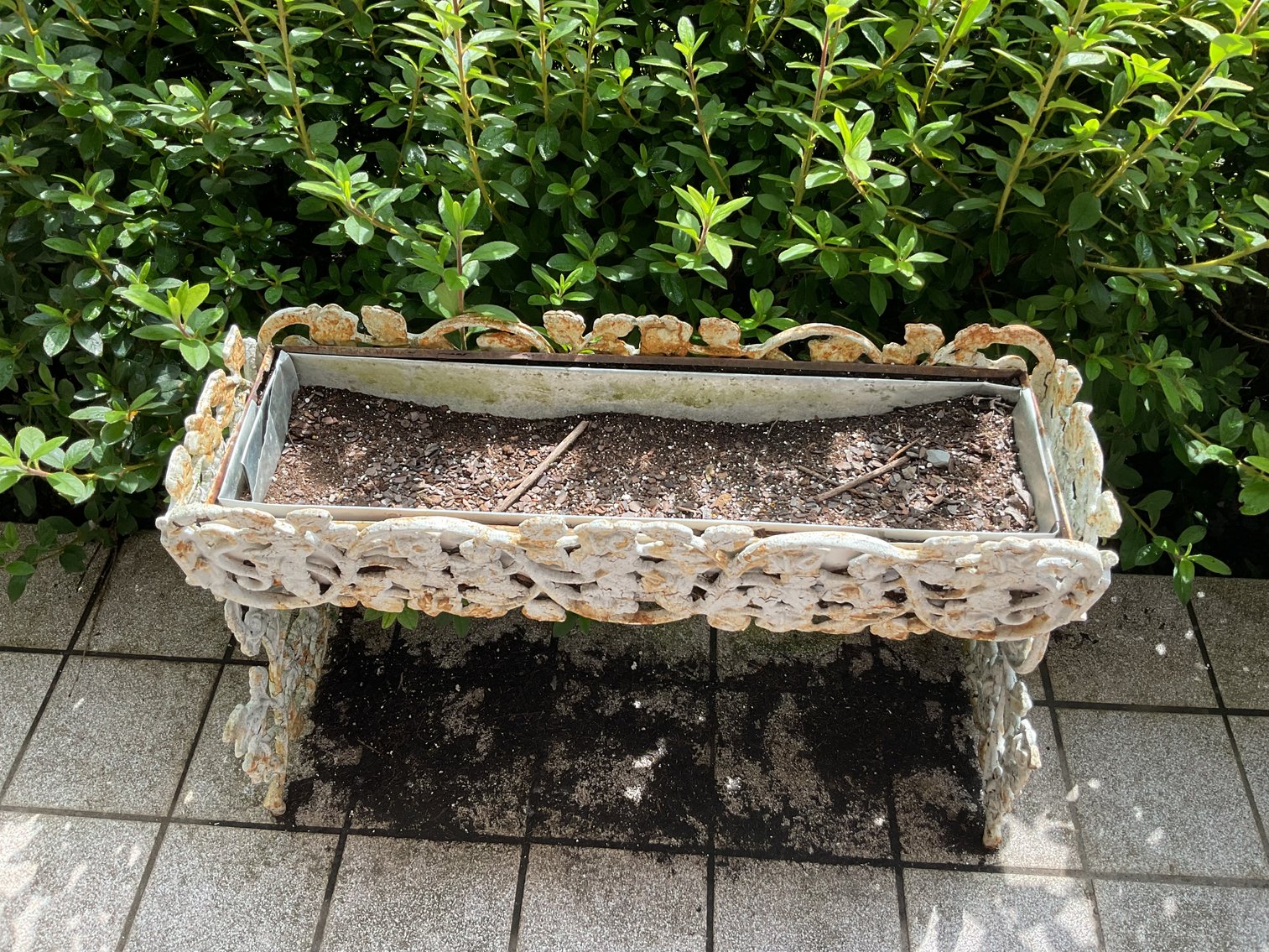 Image for Pair of Heavy Cast Iron Planters