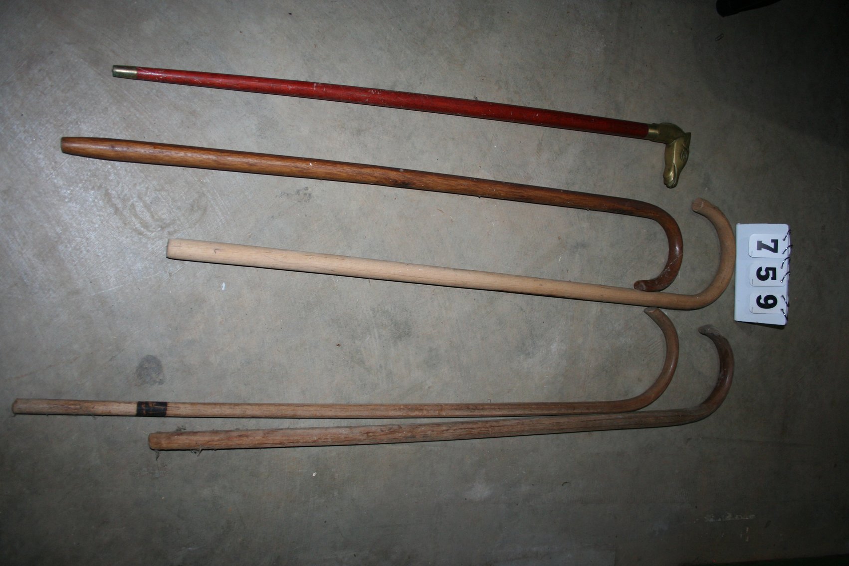 Image for Walking Canes