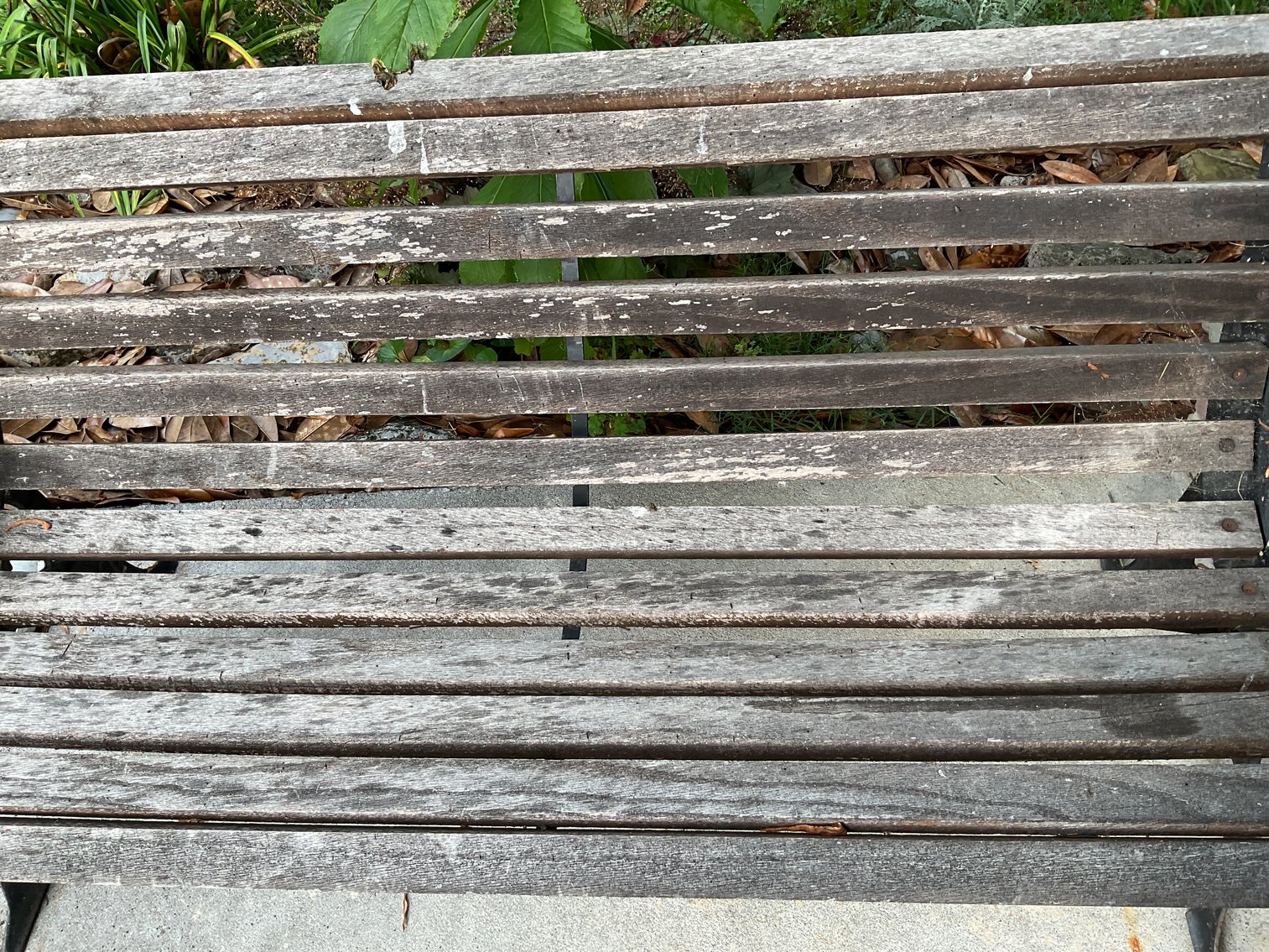 Image for Iron and Wood Bench