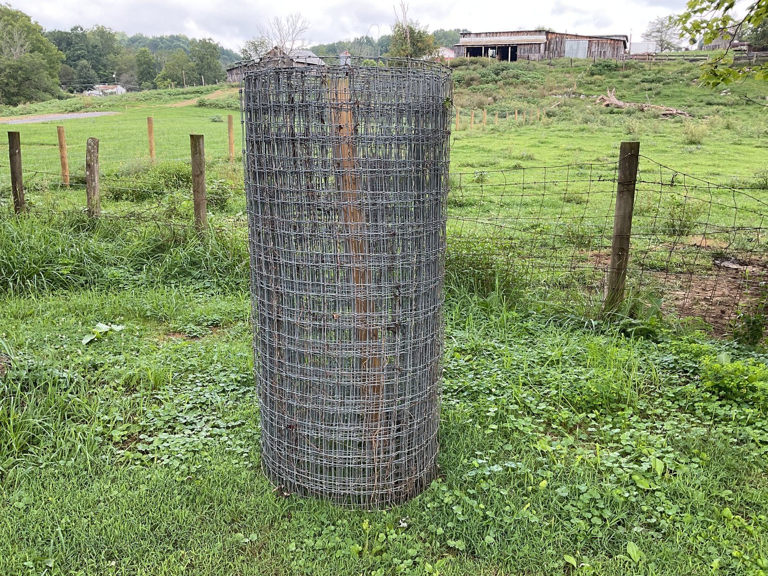 Image for Roll of Fence Wire