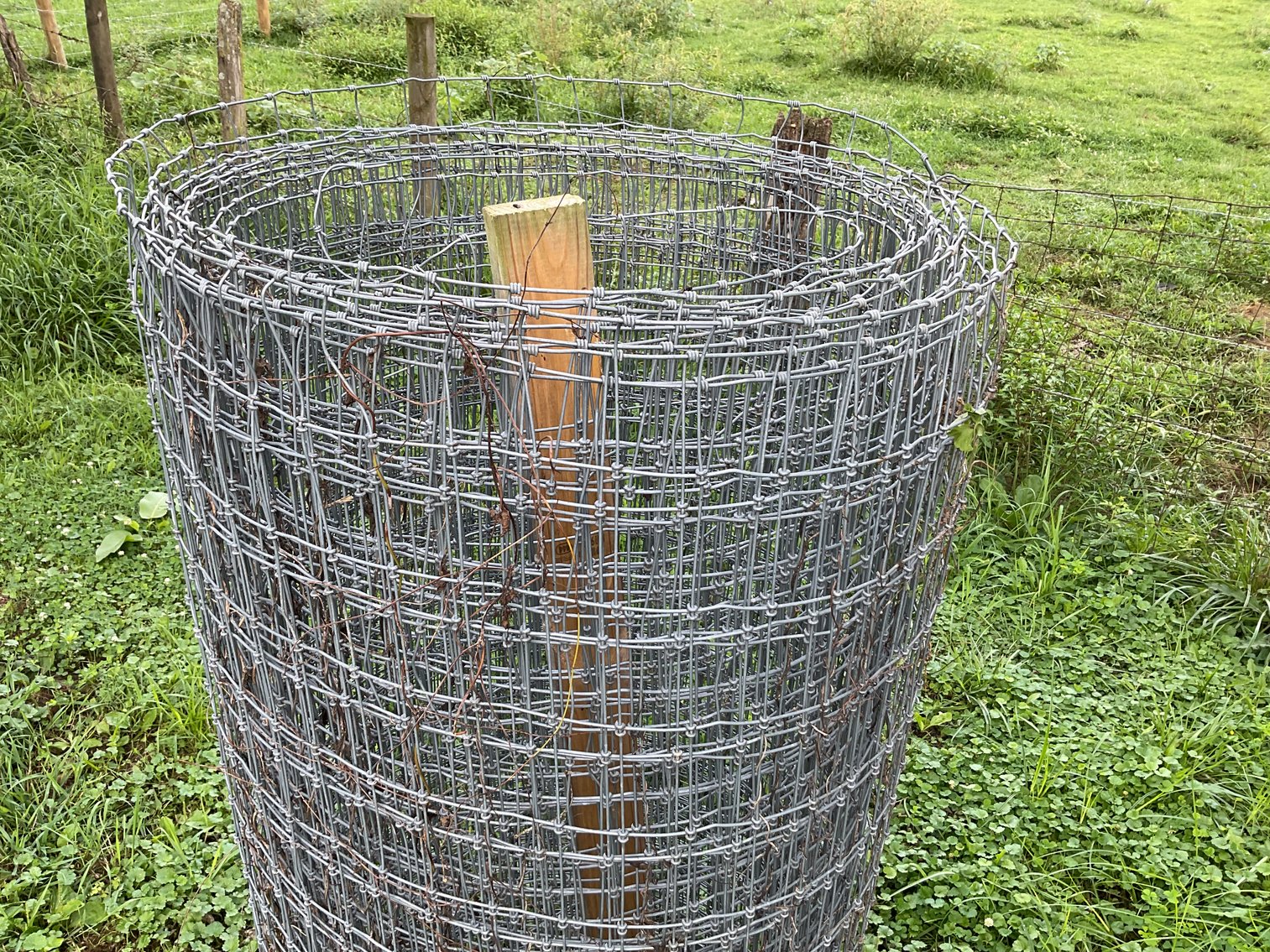 Image for Roll of Fence Wire