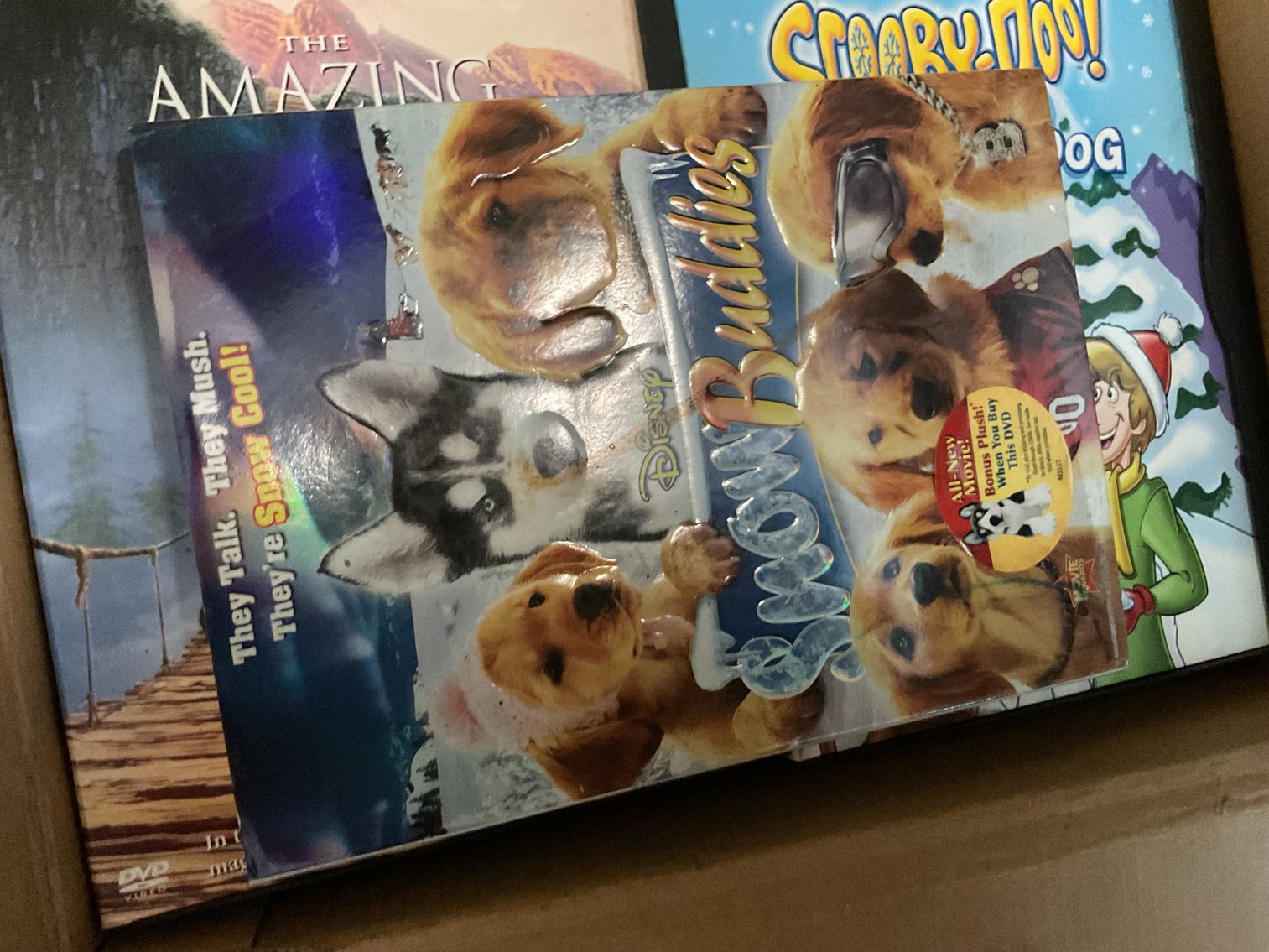 Image for Entertainment Lot