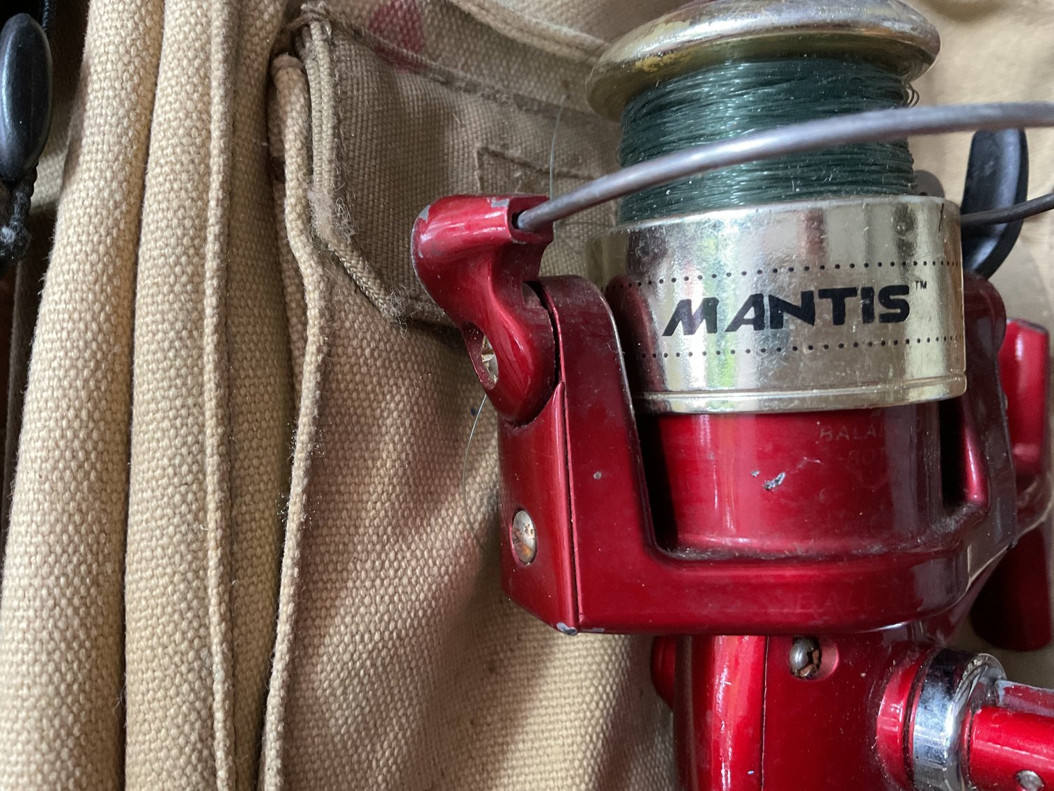 Image for Shakespeare Mantis Casting Reel