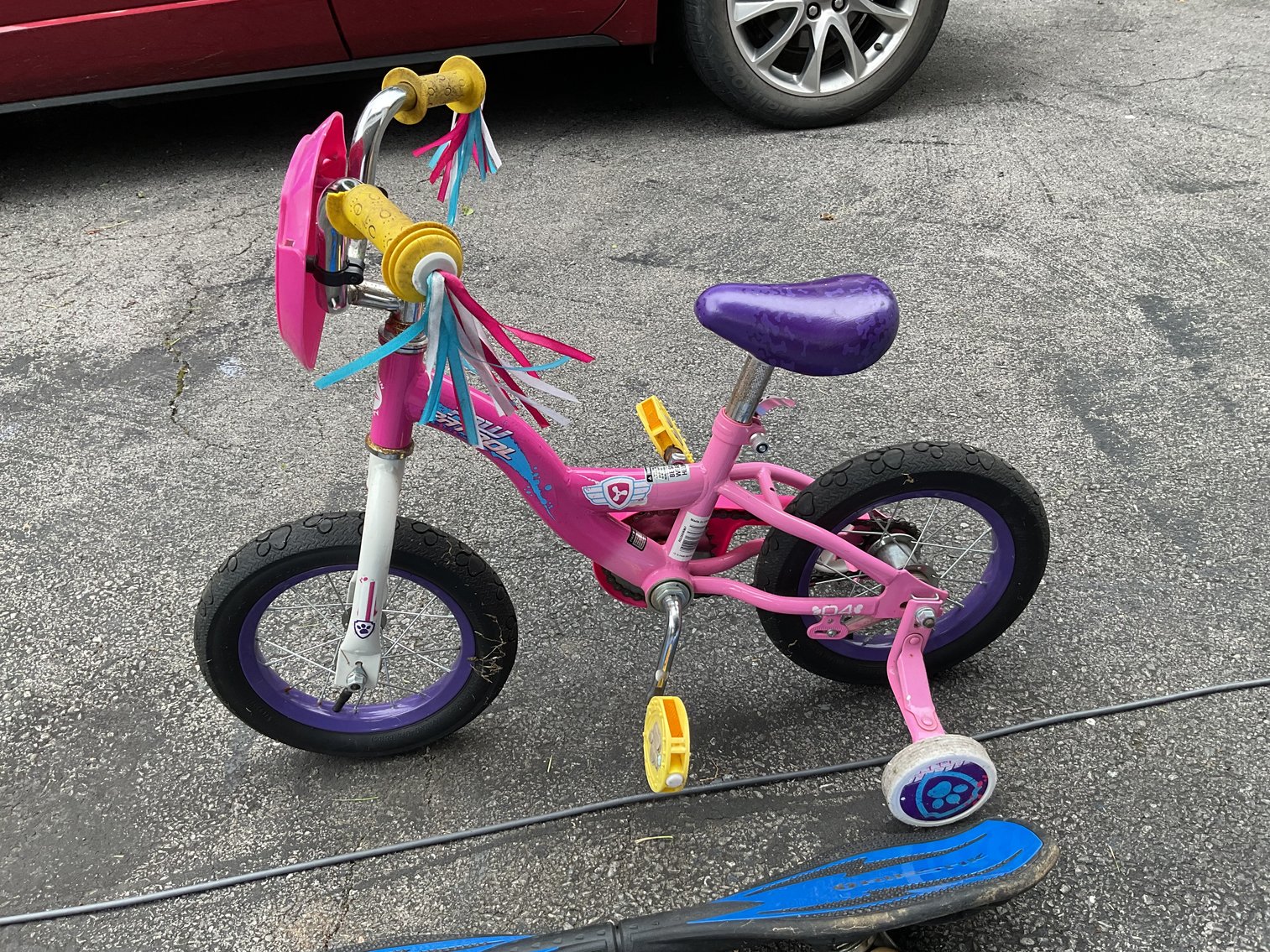 Image for Girl’s 10” Bicycle w/ Training Wheels