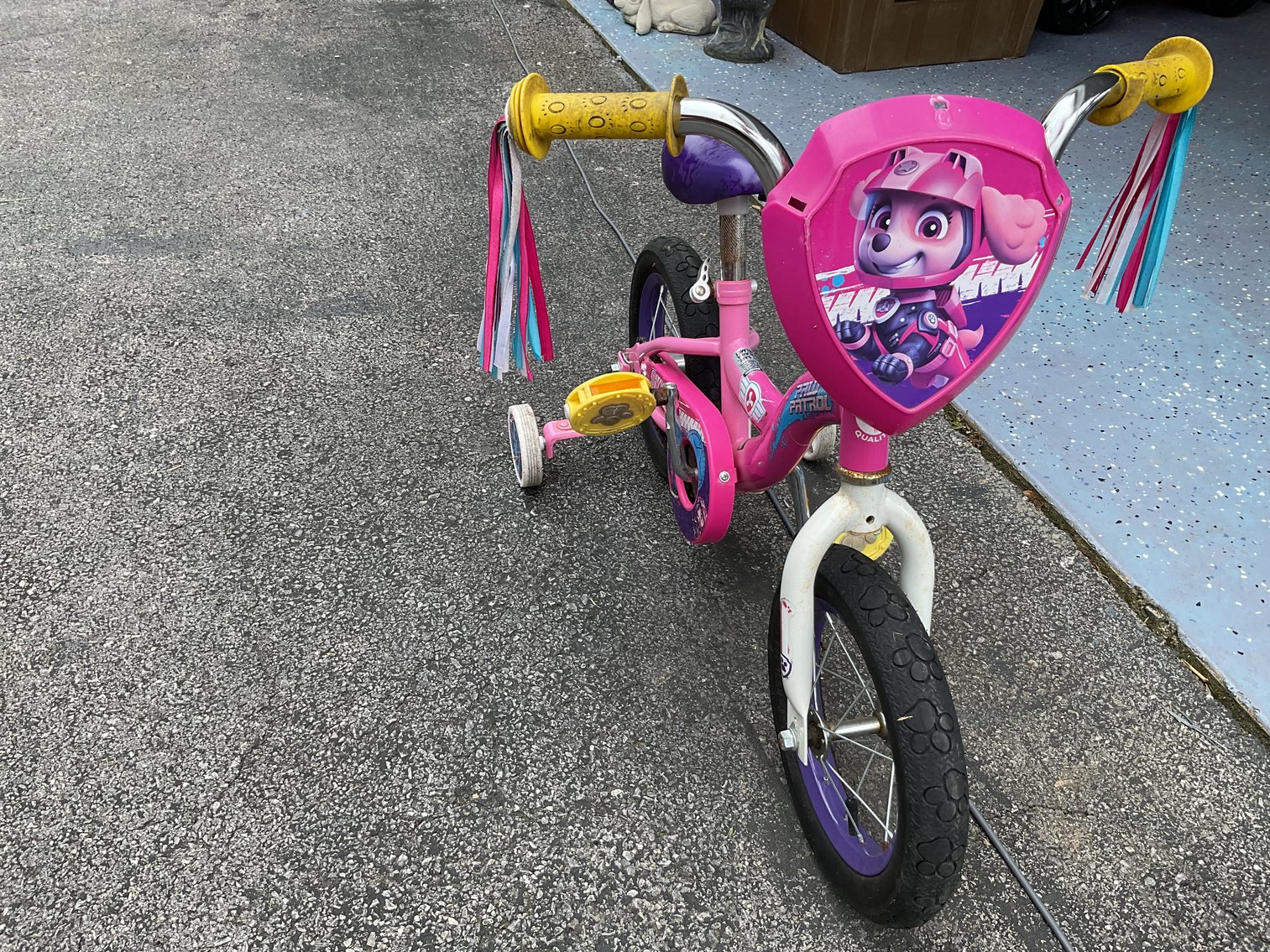 Image for Girl’s 10” Bicycle w/ Training Wheels