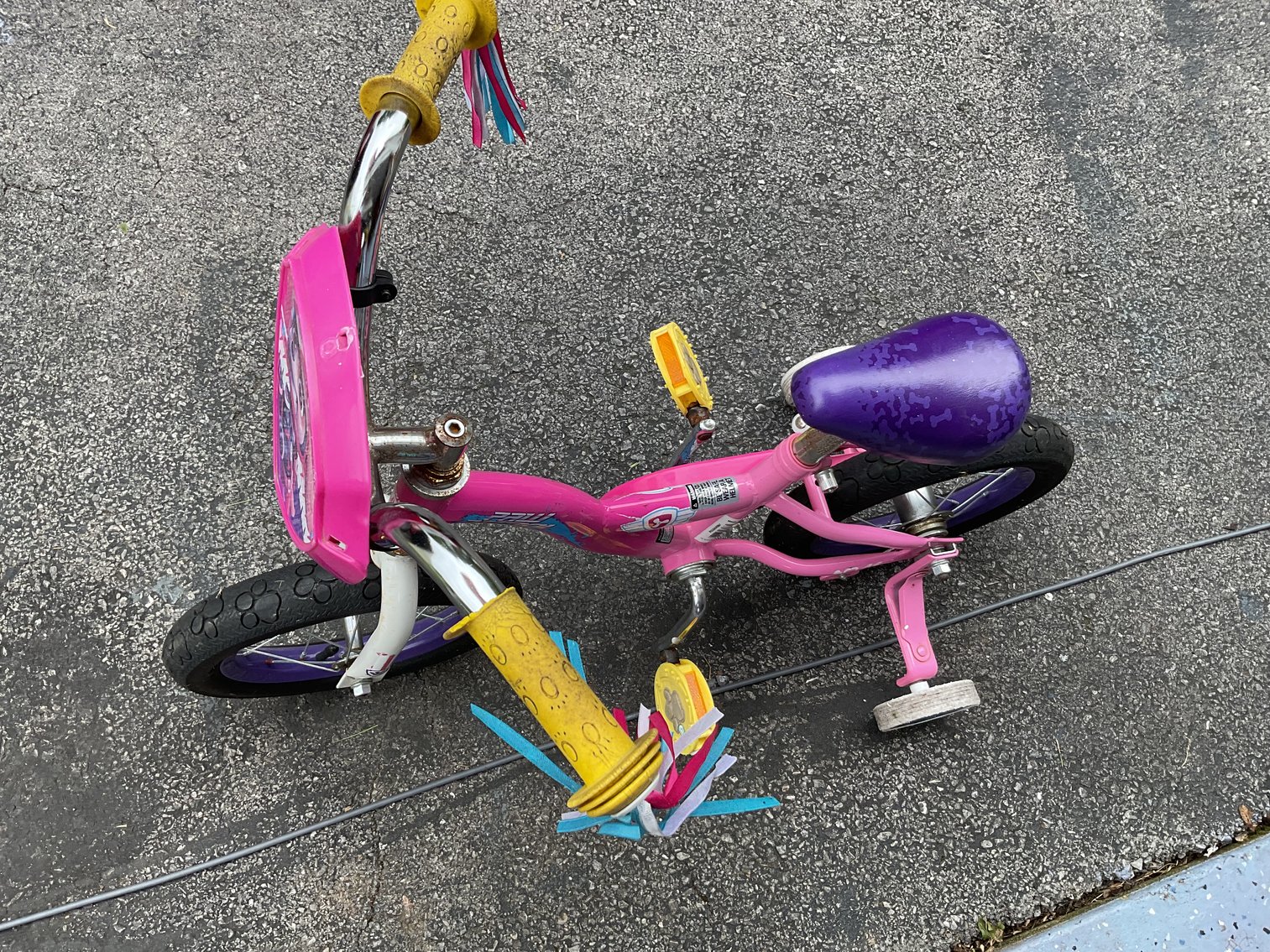 Image for Girl’s 10” Bicycle w/ Training Wheels