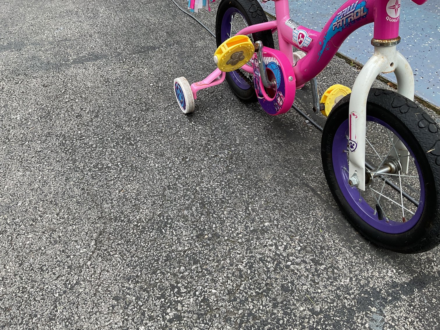 Image for Girl’s 10” Bicycle w/ Training Wheels