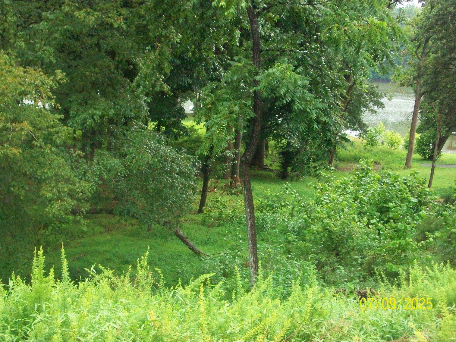 Image for Lakeside Farms Lot 82