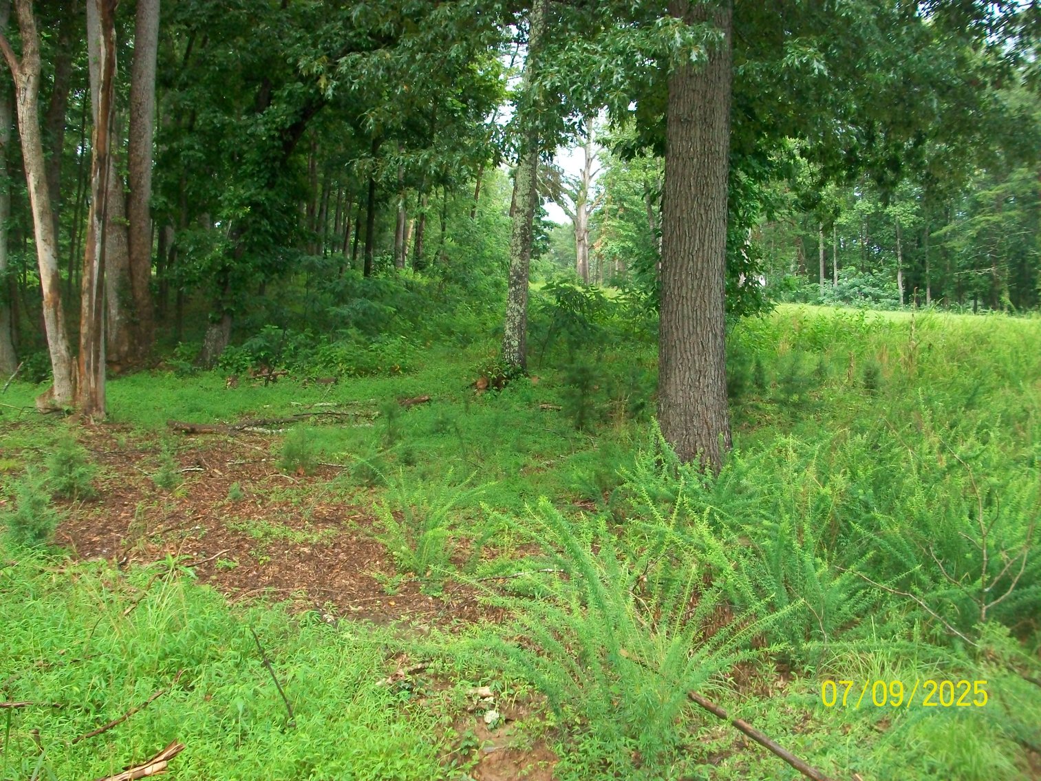 Image for Lakeside Farms Lot 82