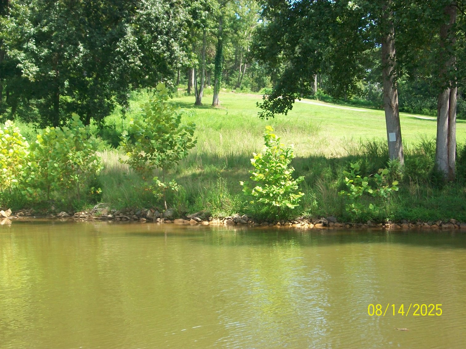 Image for Lakeside Farms Lot 82