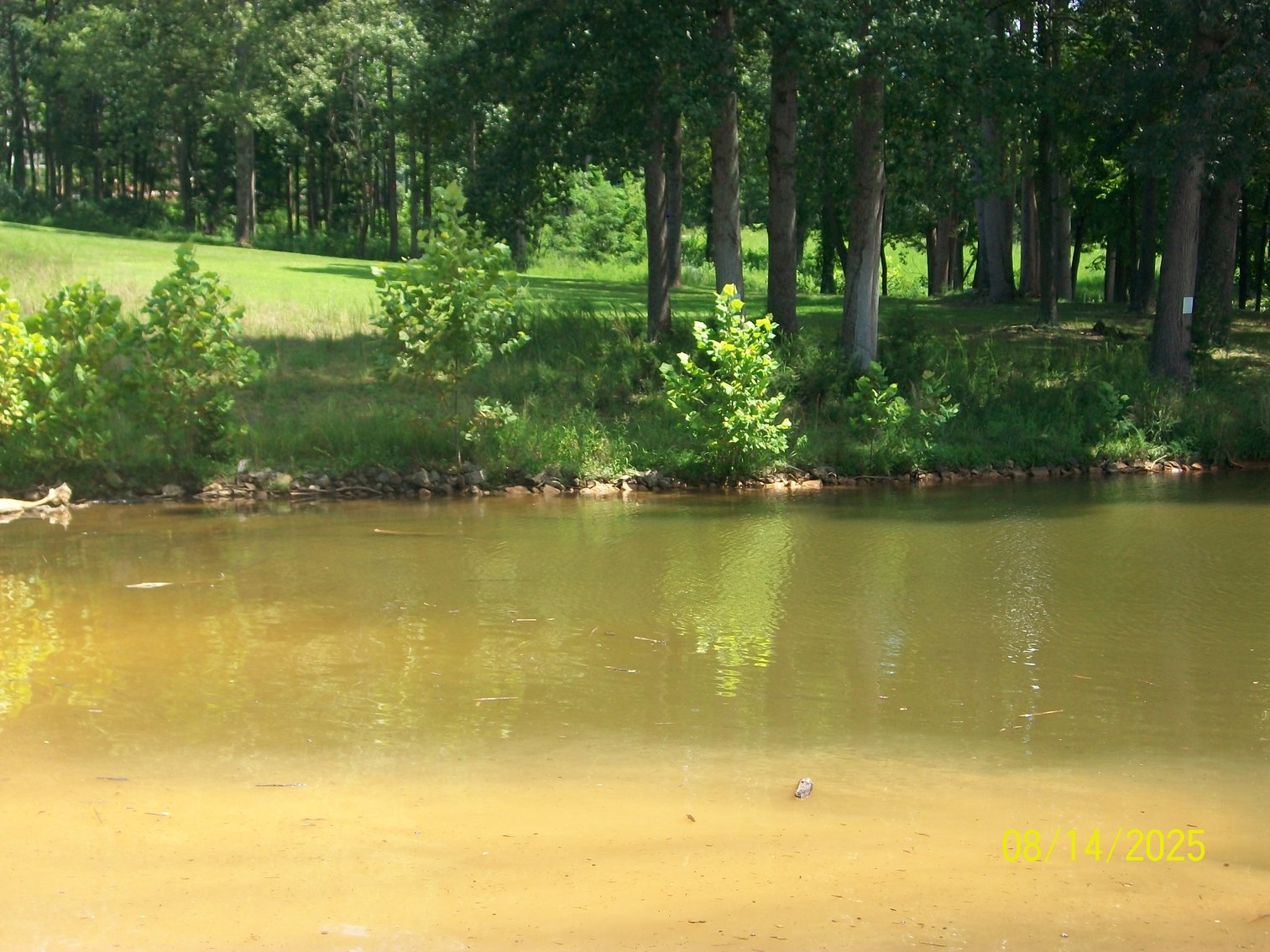 Image for Lakeside Farms Lot 82