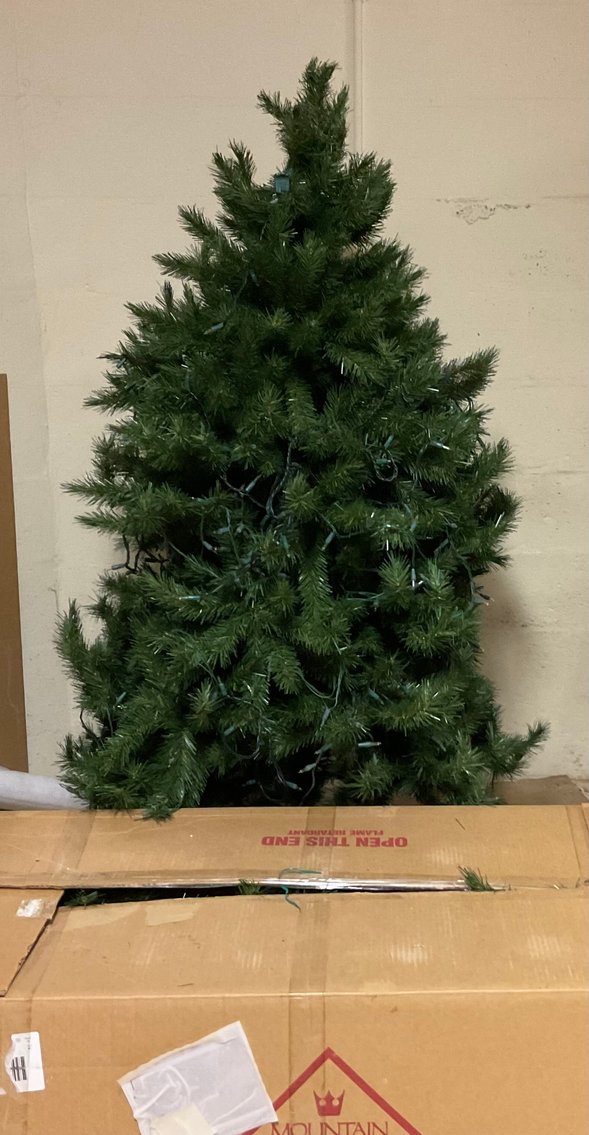 Image for Two Christmas Trees