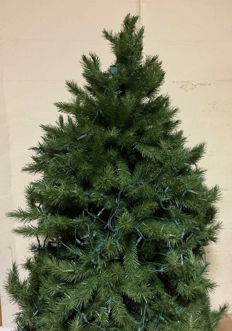 Image for Two Christmas Trees