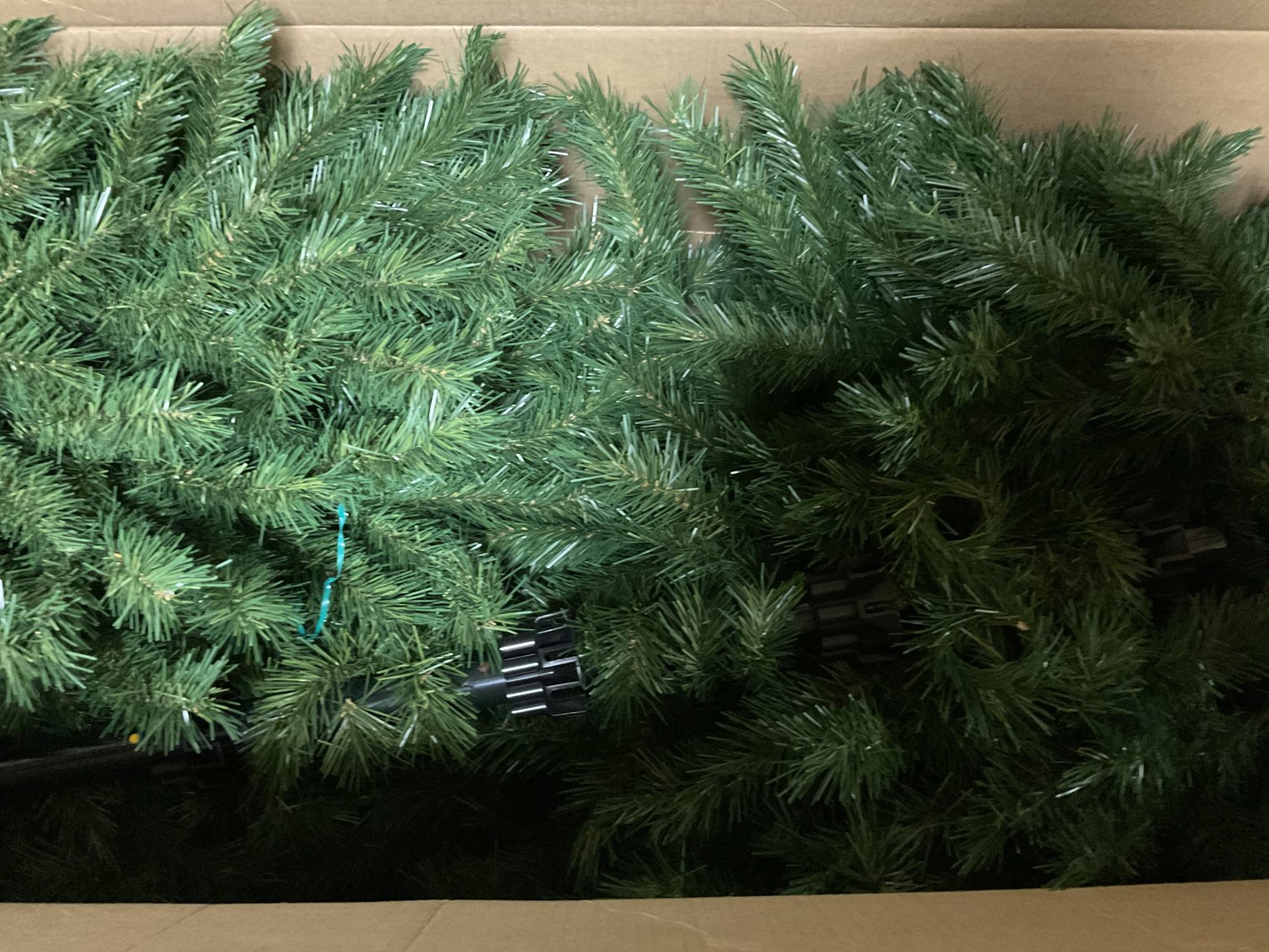 Image for Two Christmas Trees