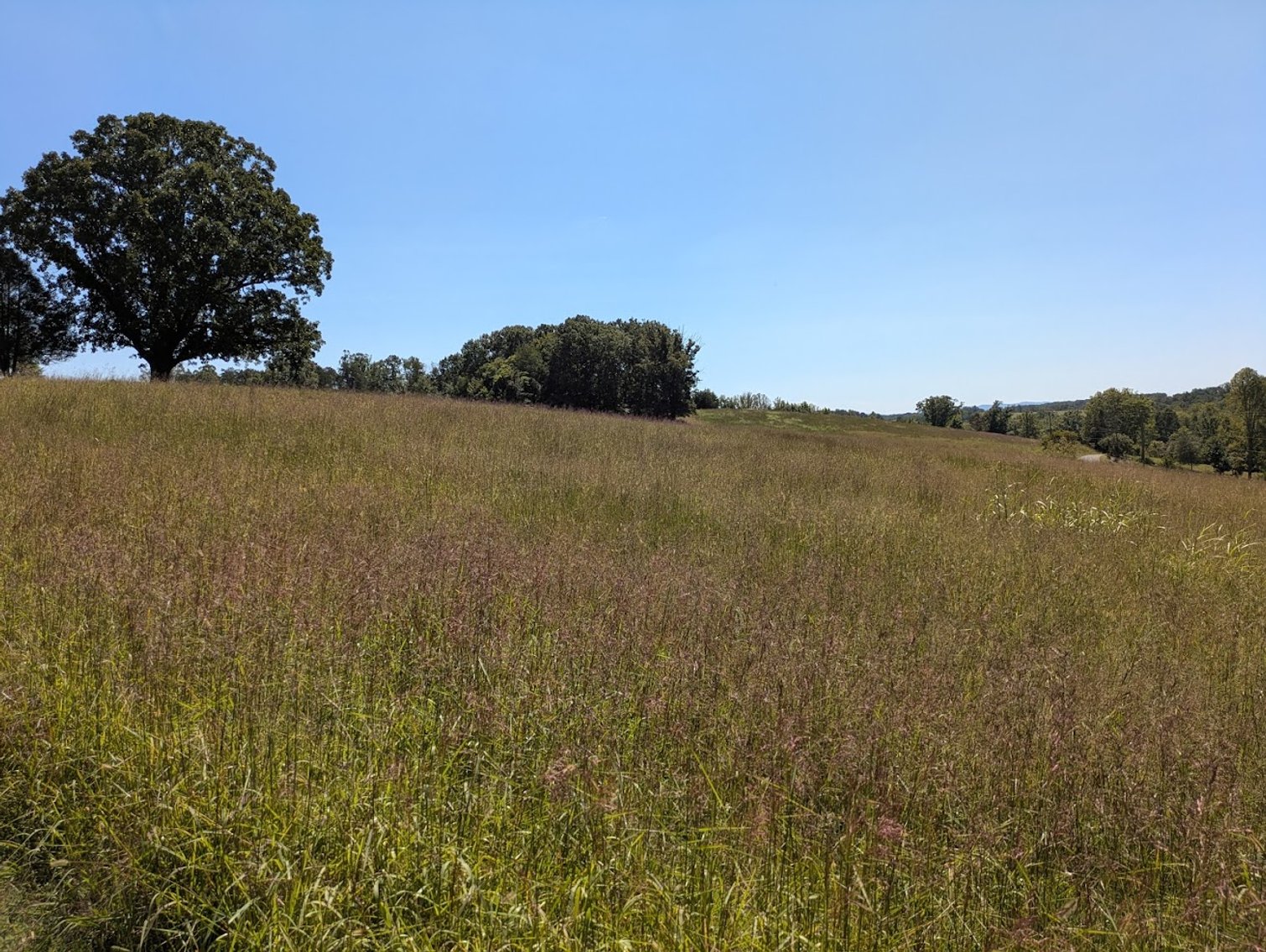 Image for Beautiful Bedford County Farm - Perry Estate