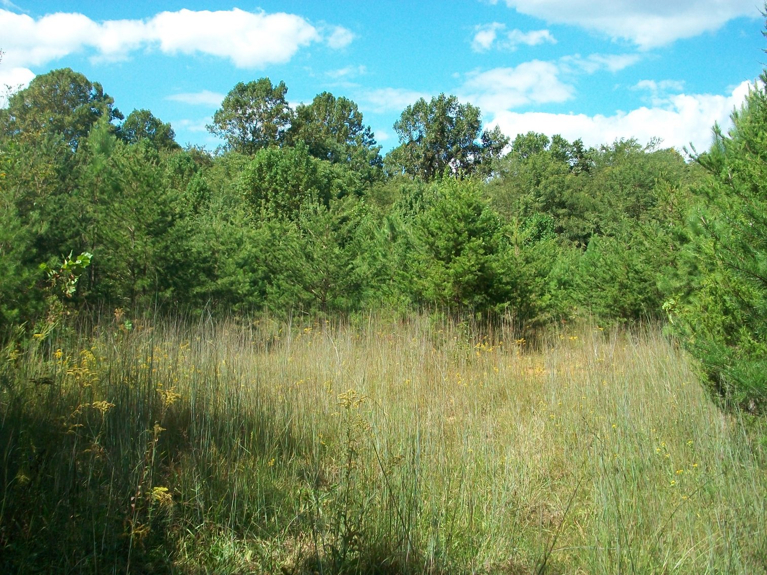 Image for Esmont, VA (Albemarle County)