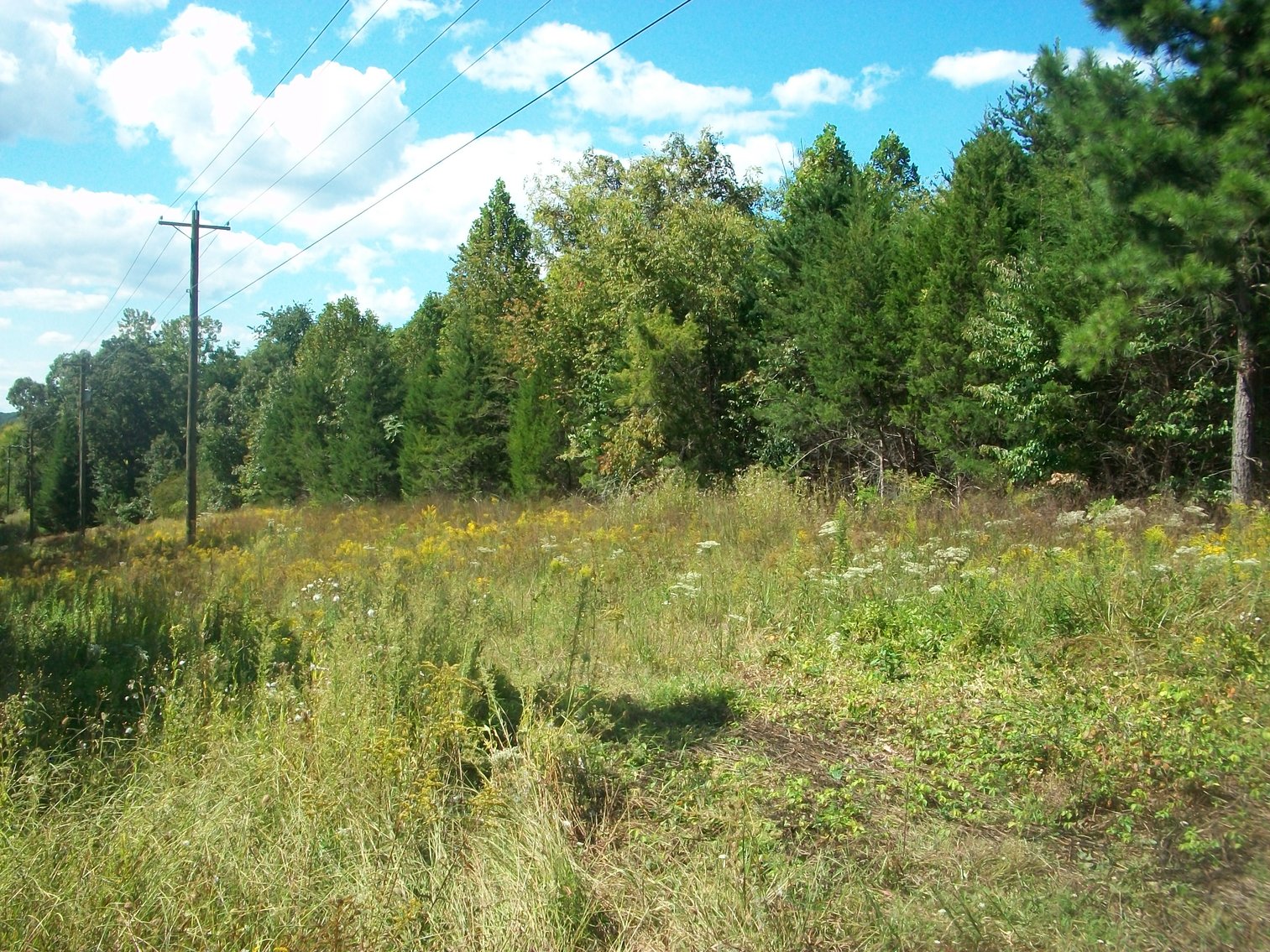 Image for Esmont, VA (Albemarle County)