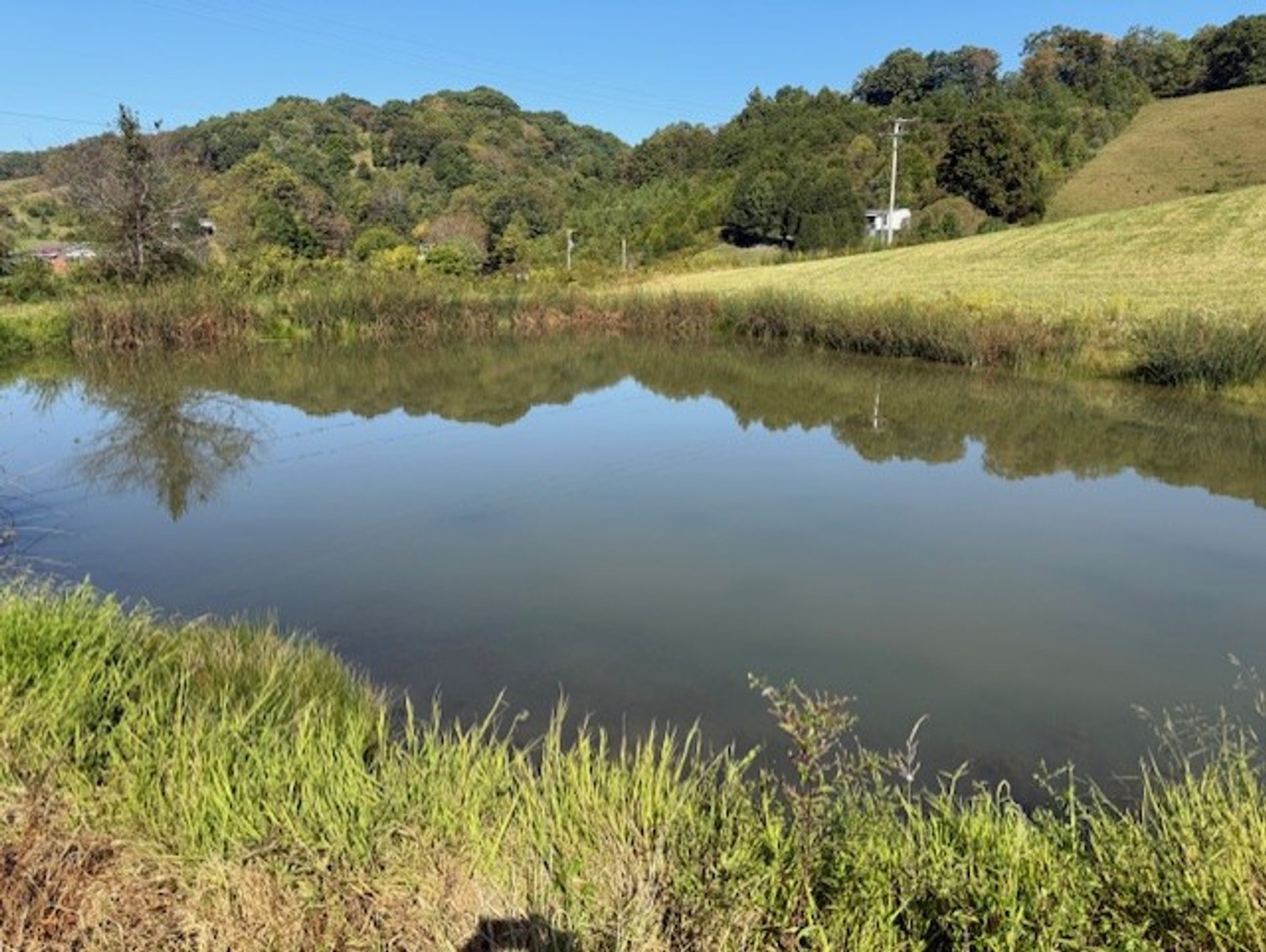 Image for Tracts #1-2