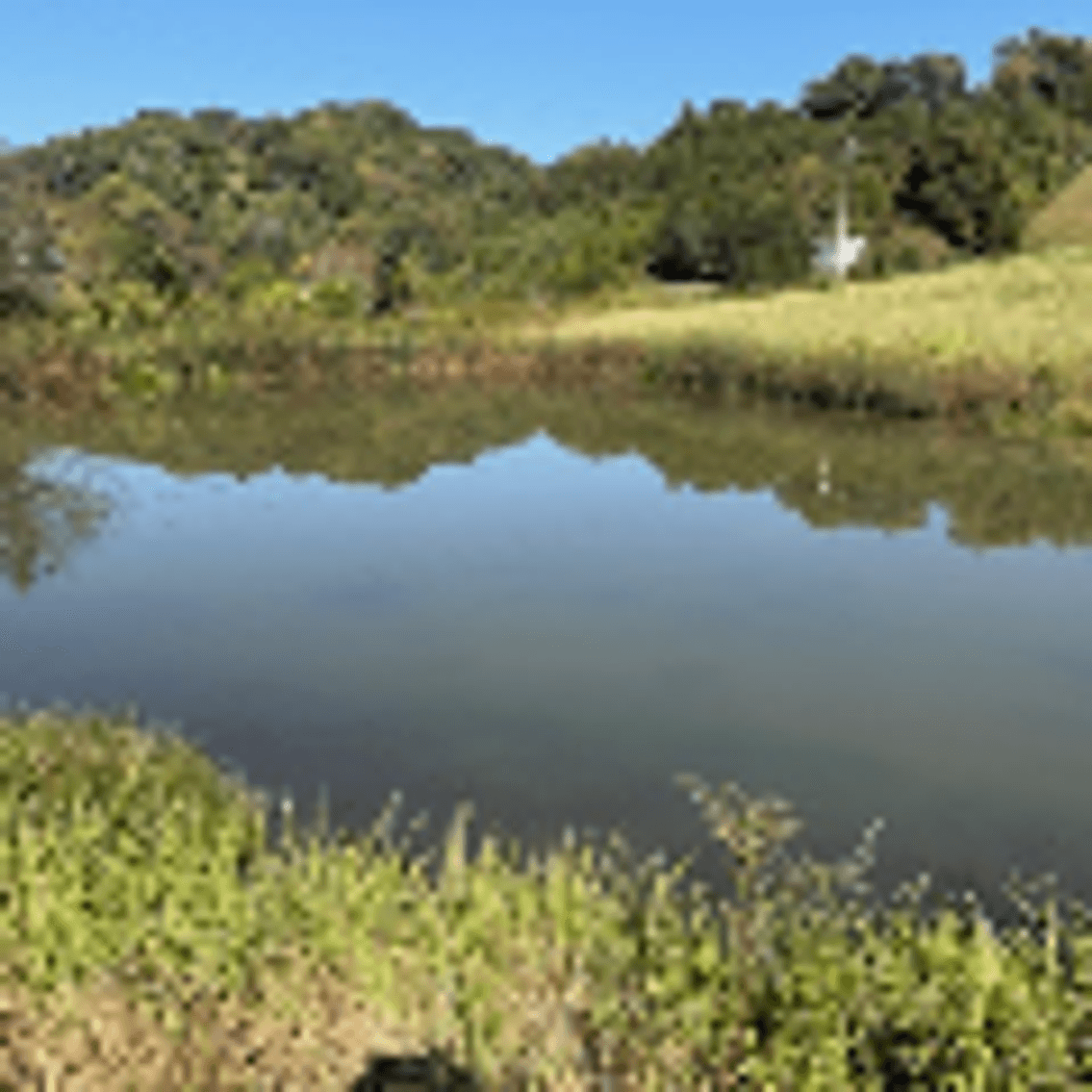 Image for Tracts #1-2