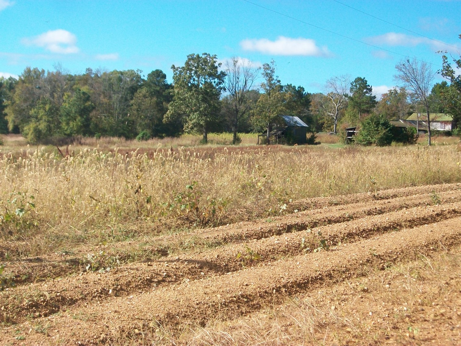 Image for FCV - Tuck