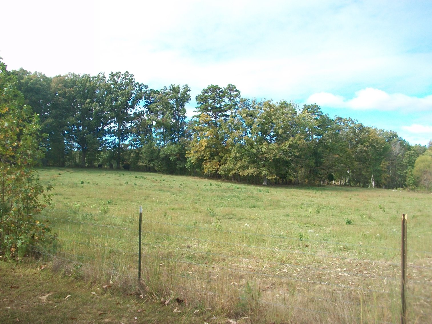 Image for FCV - Tuck