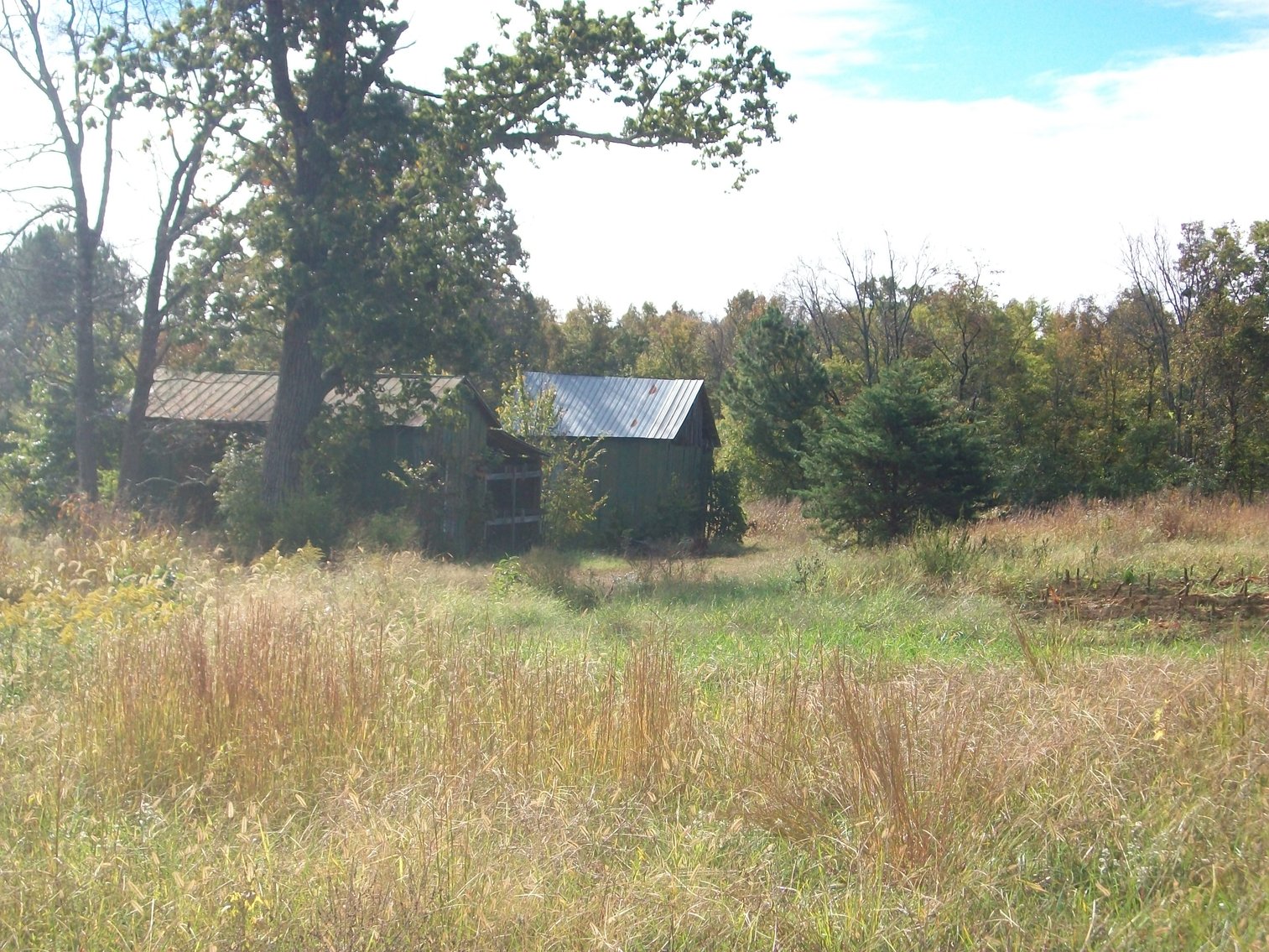 Image for FCV - Tuck