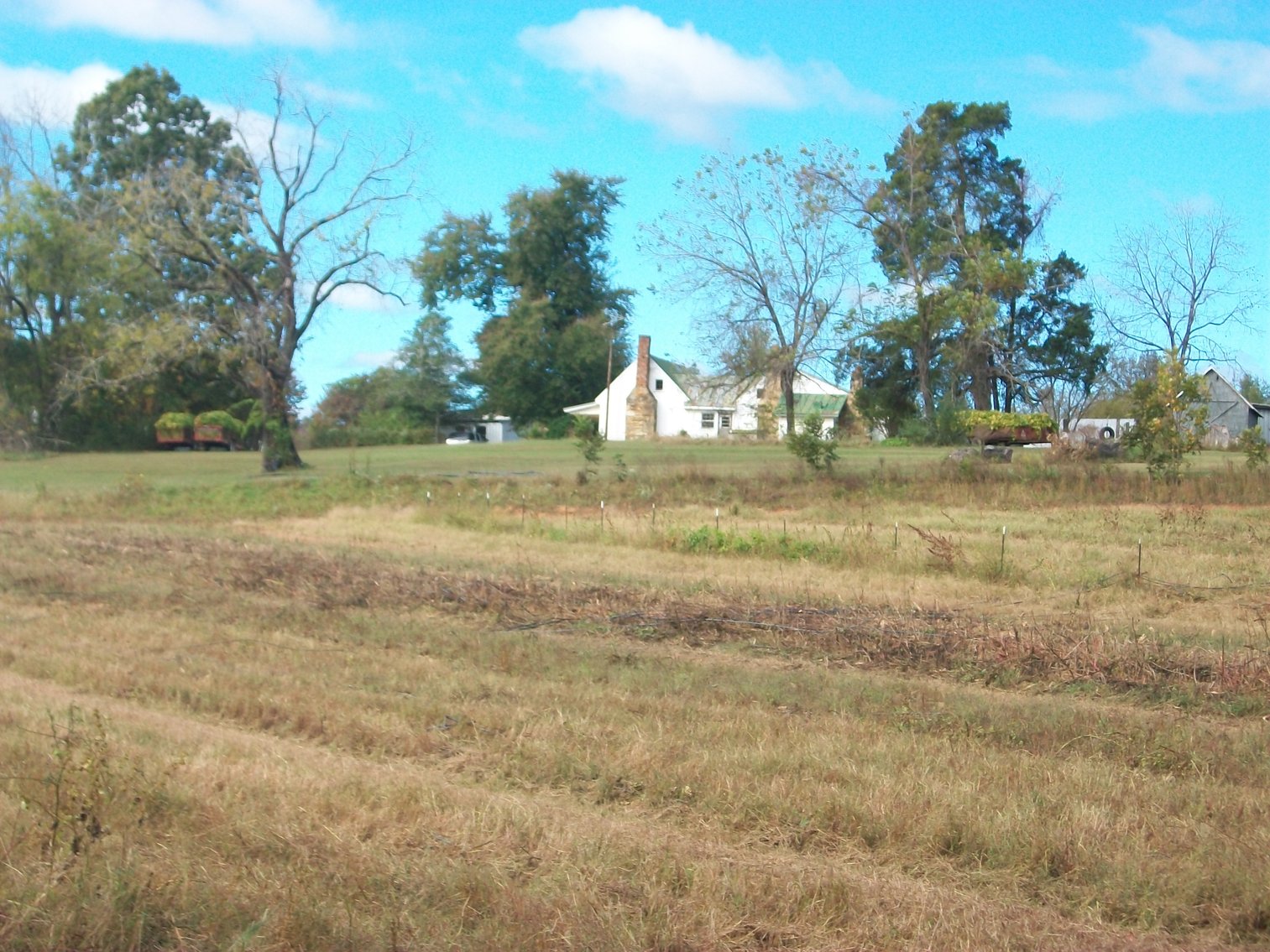 Image for FCV - Tuck