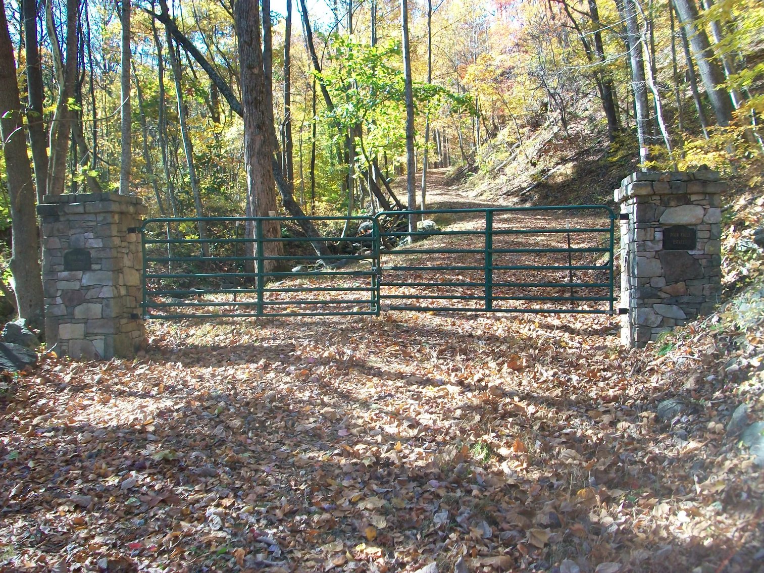 Image for 66.84 +/- ACRES FOR SALE IN NELSON COUNTY BELOW WINTERGREEN RESORT