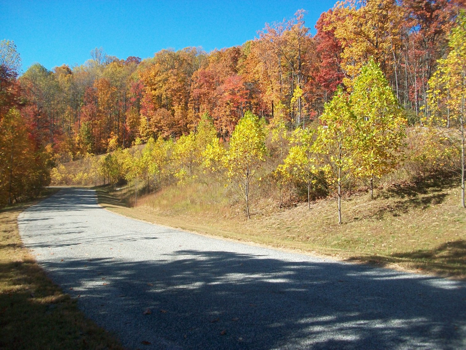 Image for 66.84 +/- ACRES FOR SALE IN NELSON COUNTY BELOW WINTERGREEN RESORT