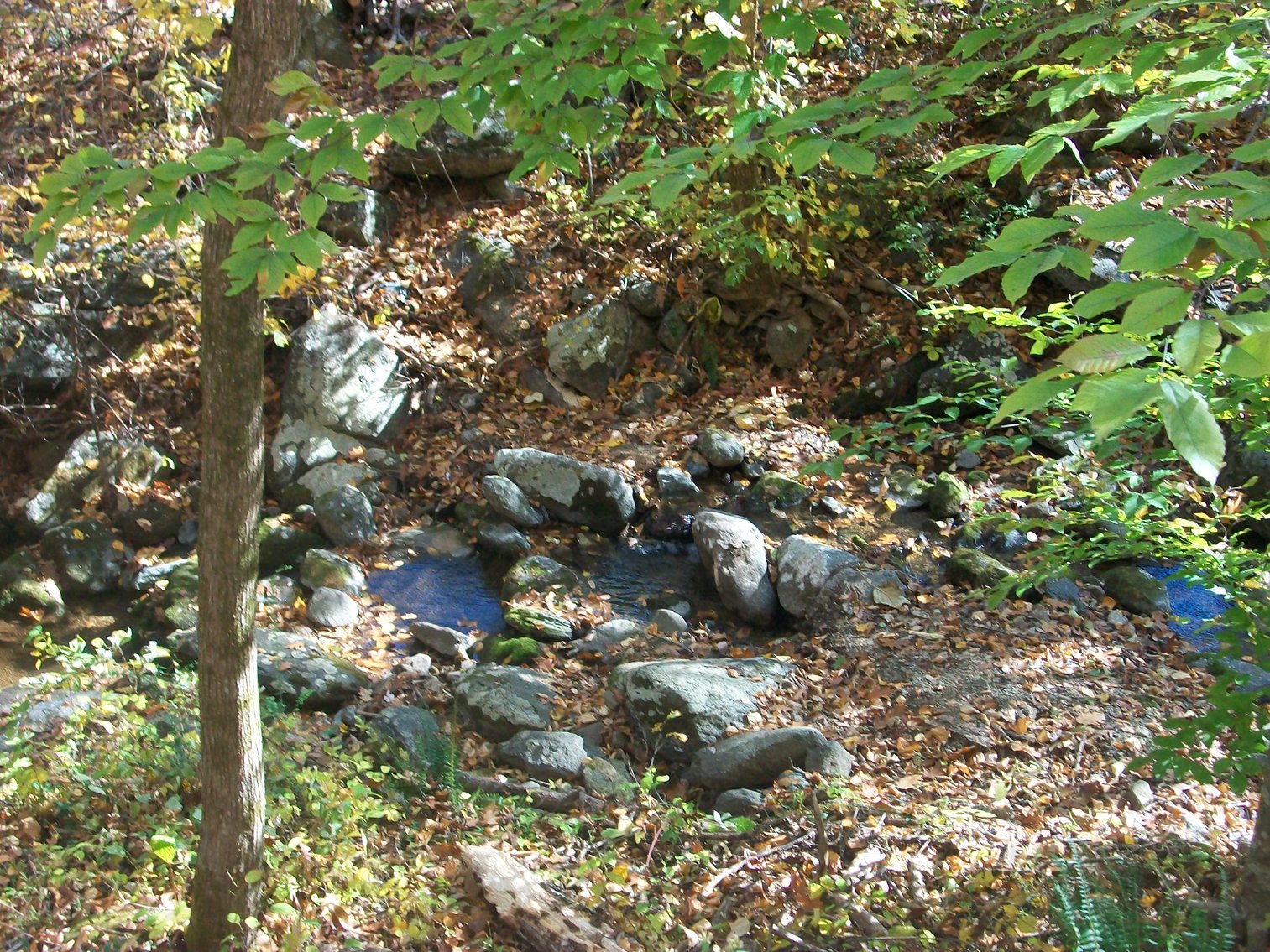 Image for 66.84 +/- ACRES FOR SALE IN NELSON COUNTY BELOW WINTERGREEN RESORT