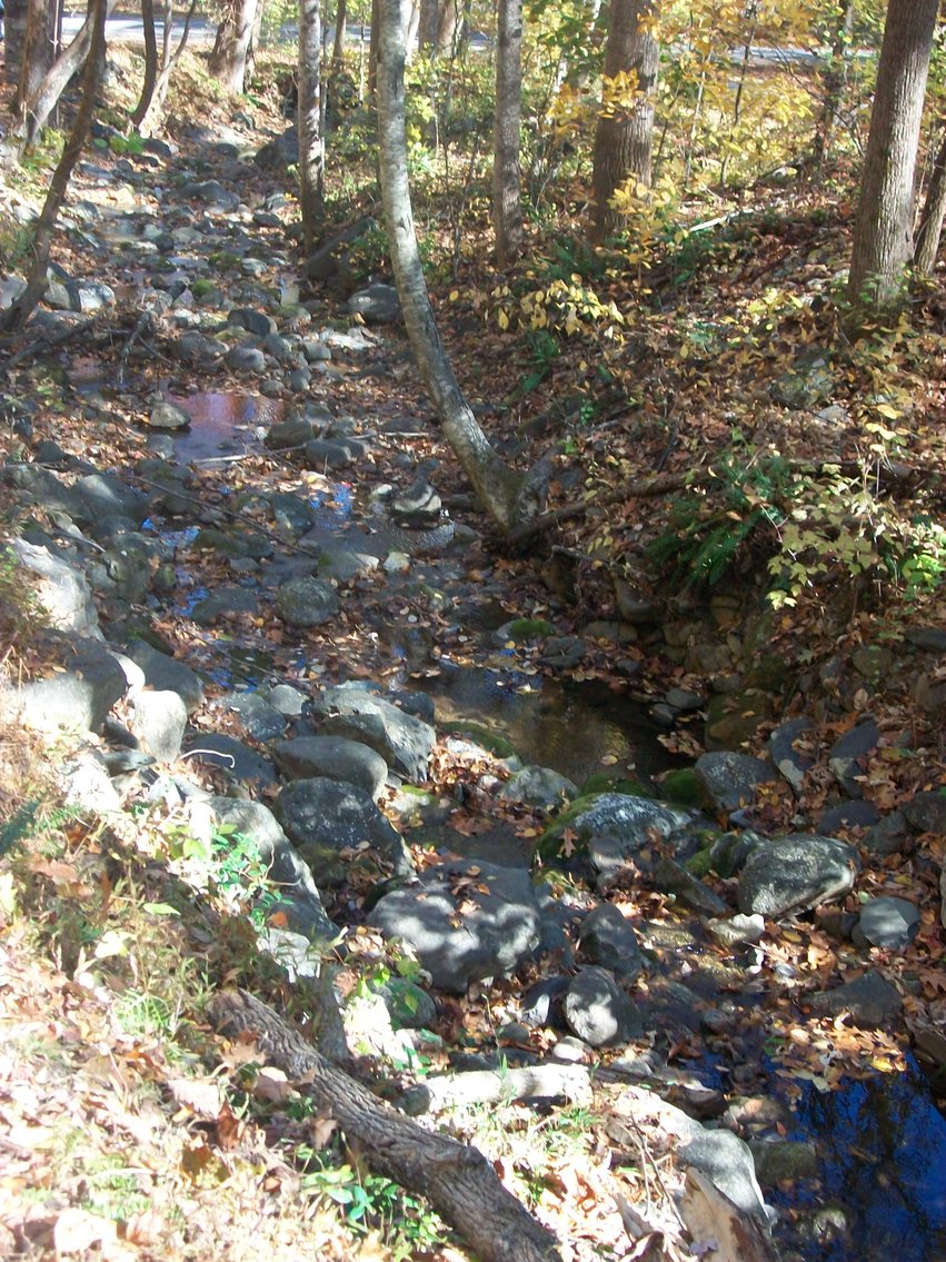 Image for 66.84 +/- ACRES FOR SALE IN NELSON COUNTY BELOW WINTERGREEN RESORT