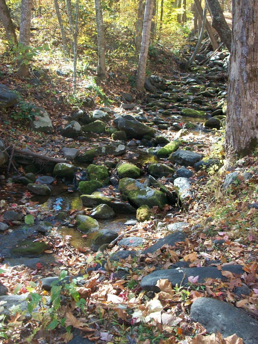 Image for 66.84 +/- ACRES FOR SALE IN NELSON COUNTY BELOW WINTERGREEN RESORT