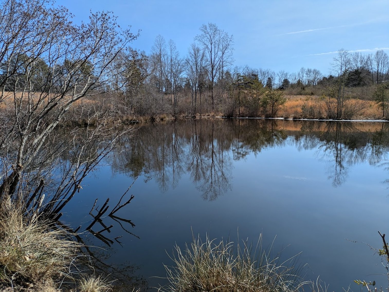 Image for Chatham VA